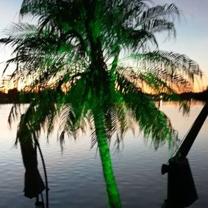 Meet your Posher, Lynn